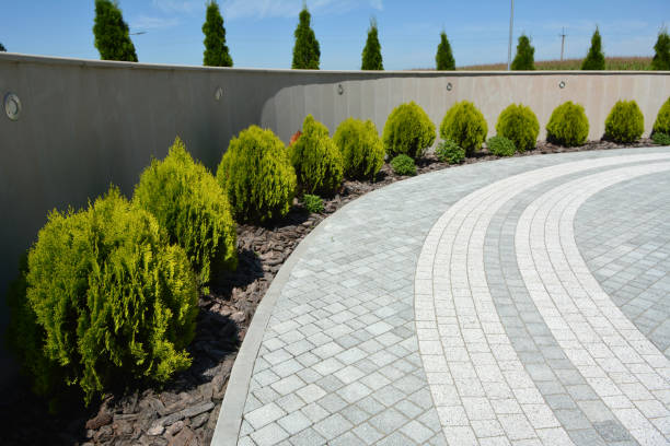 Best Driveway Paving Contractor  in Camp Hill, PA